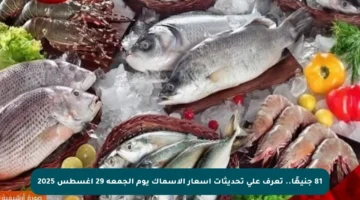 81 جنيهًا.. تعرف على تحديثات أسعار الأسماك يوم الجمعة 29 أغسطس 2025